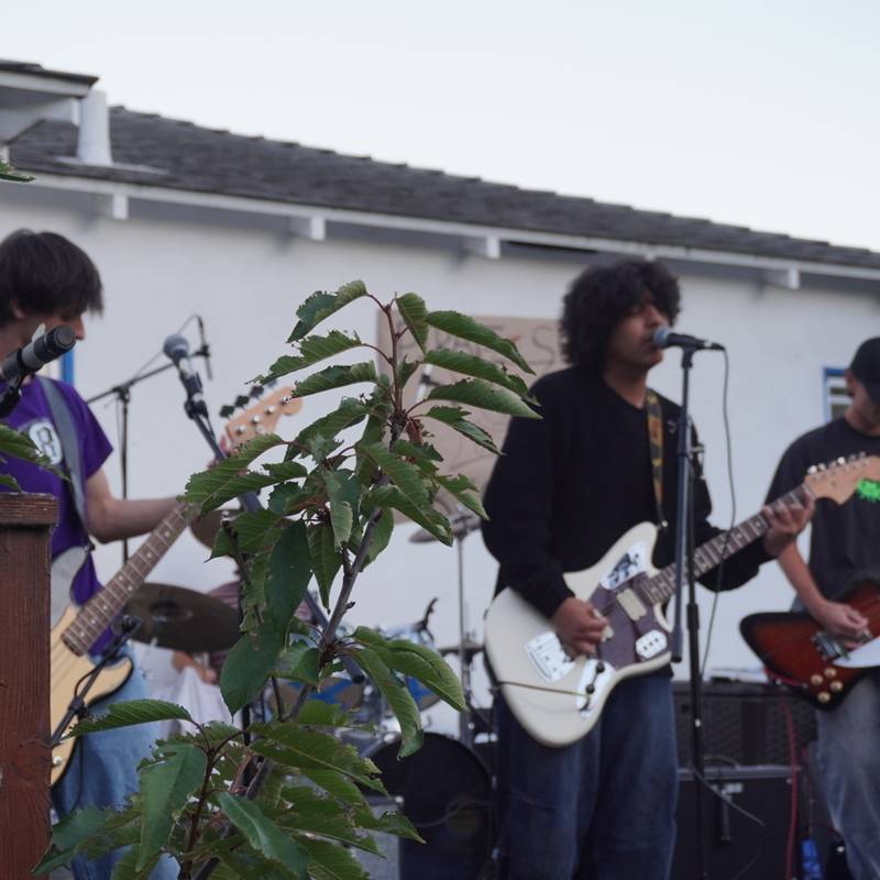 PSR show photo