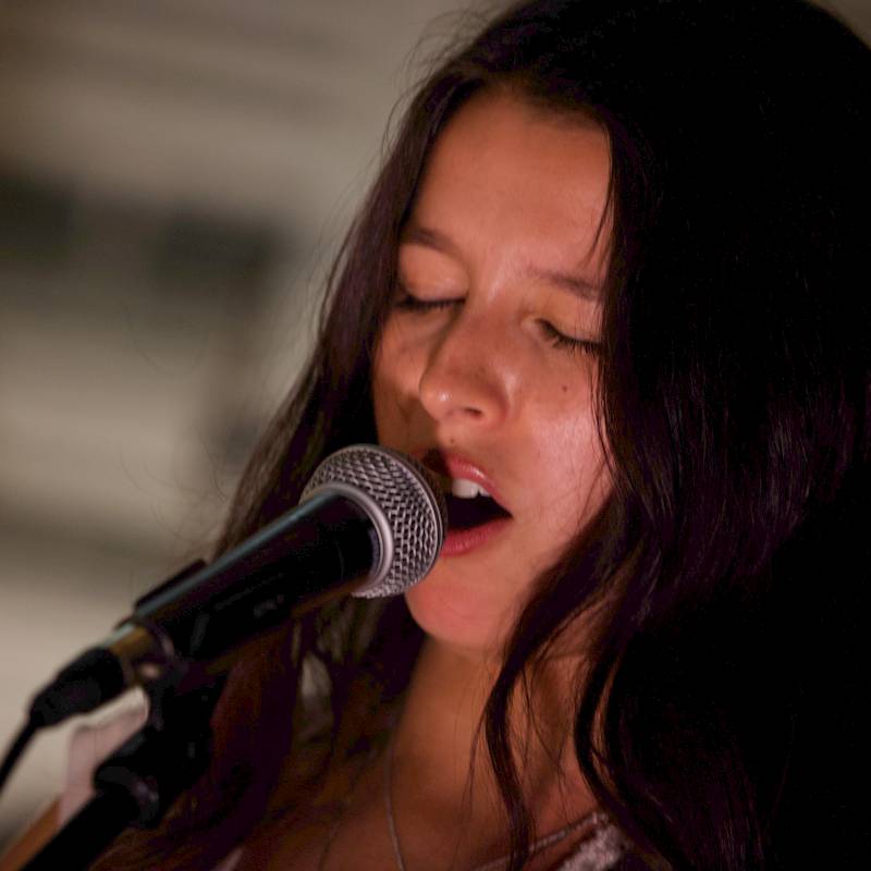PSR show photo
