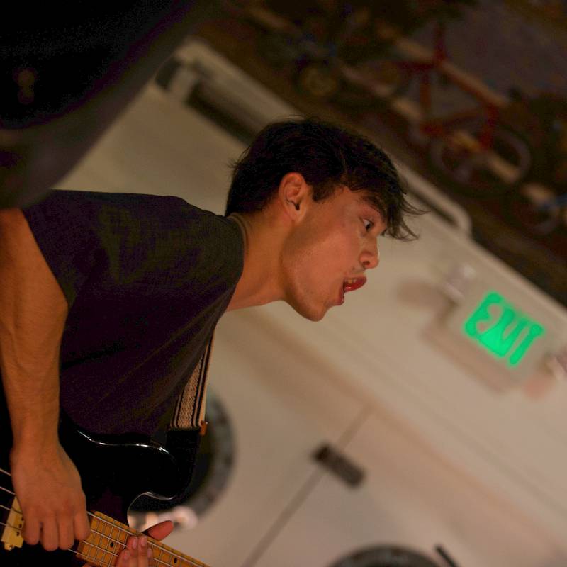 PSR show photo